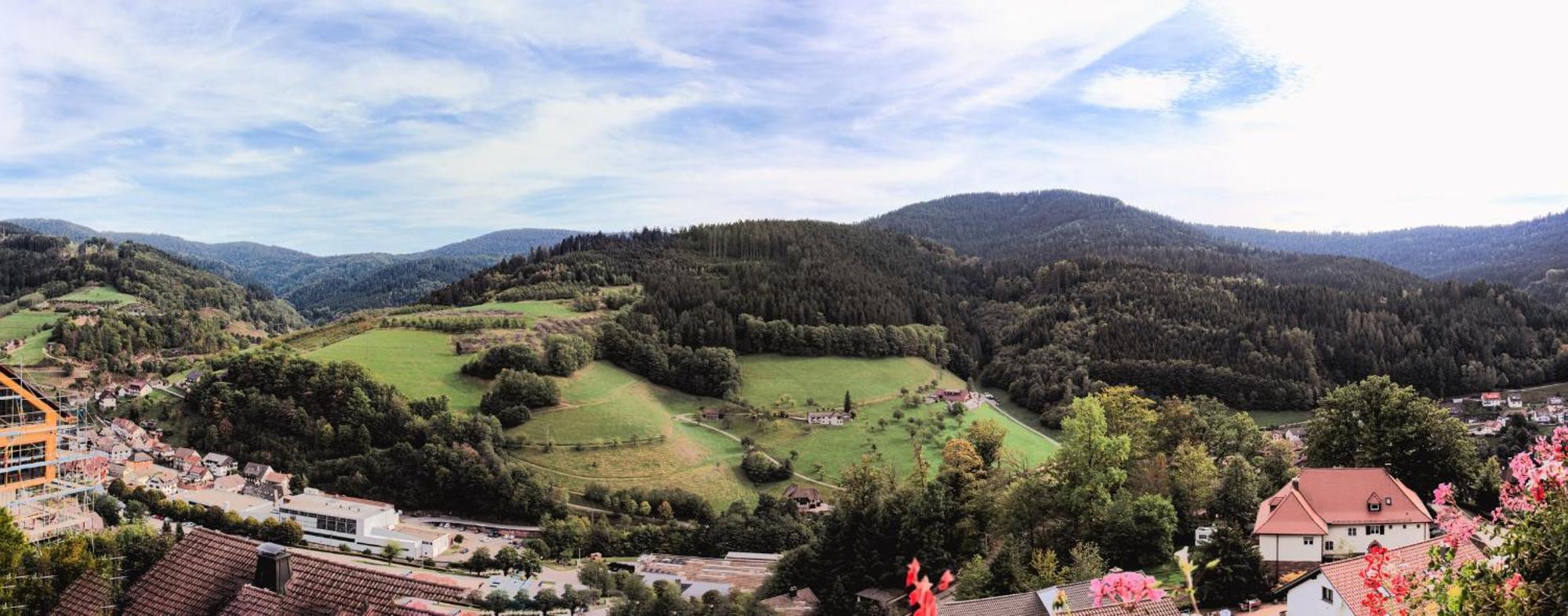 Hotel Schauinsland Bad Peterstal-Griesbach Exterior foto