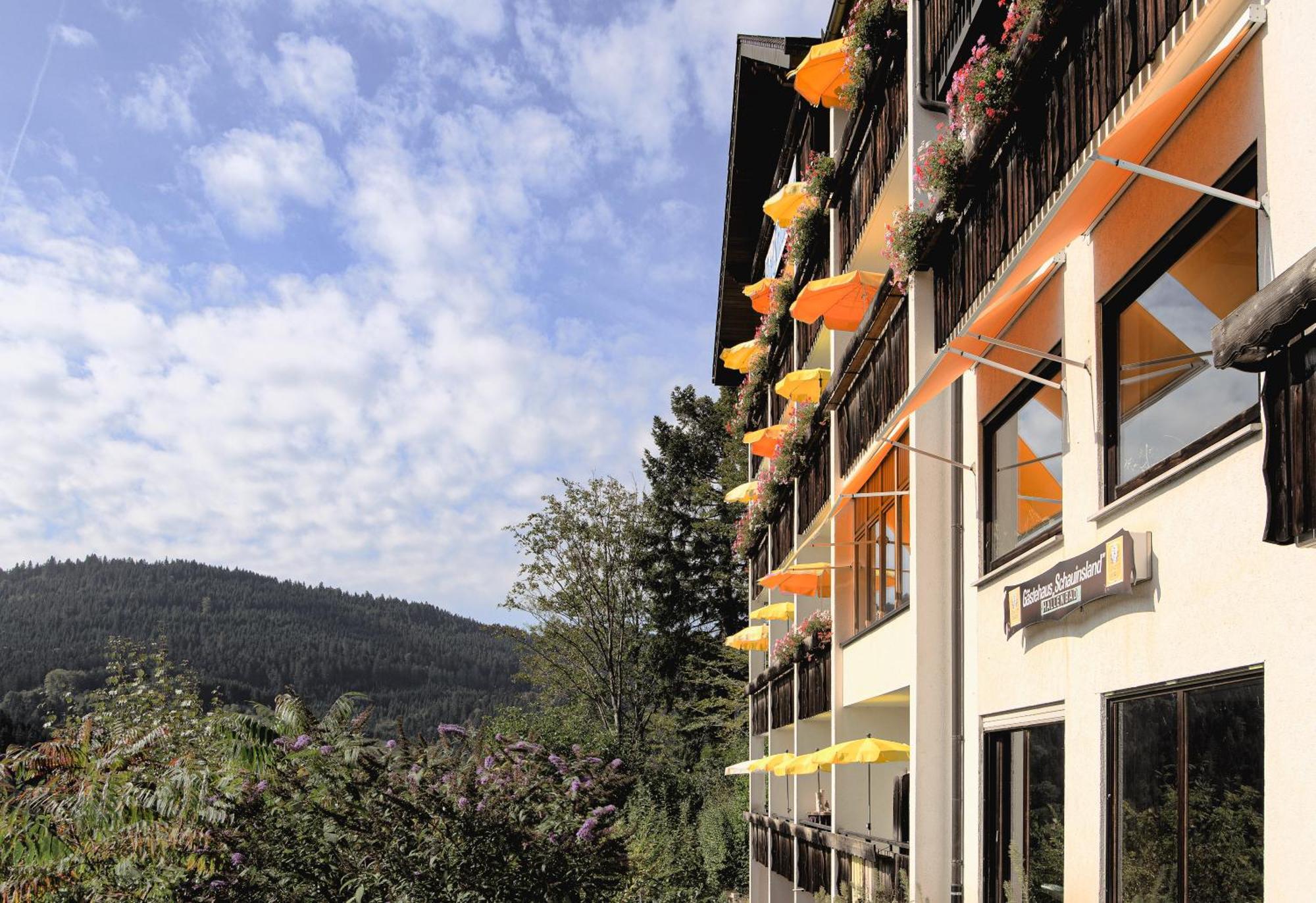 Hotel Schauinsland Bad Peterstal-Griesbach Exterior foto